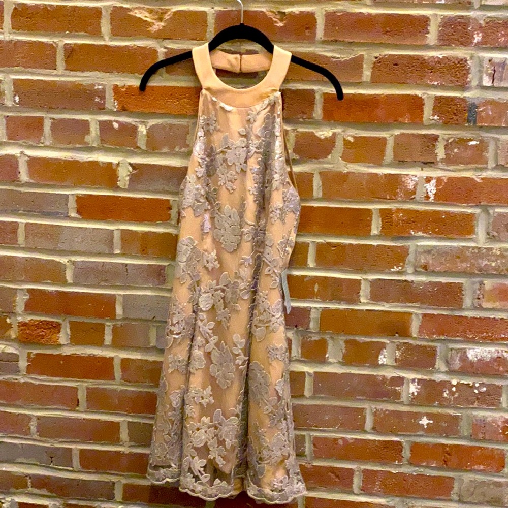 Lace & Sequin Dress the Population Cocktail Dress